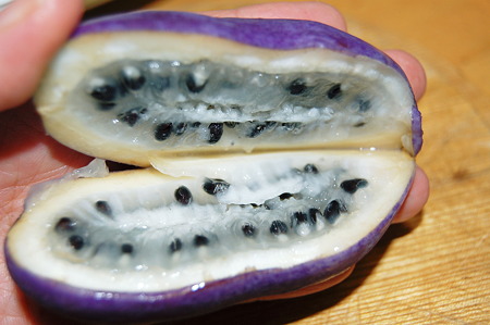 2011年09月26日_DSC_1275