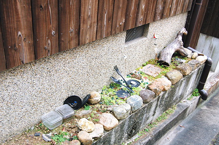 2012年01月09日_DSC_0495