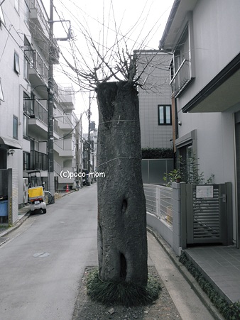 2012年03月30日_P3300048