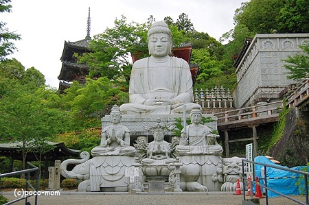 壷阪寺 大釈迦如来石像