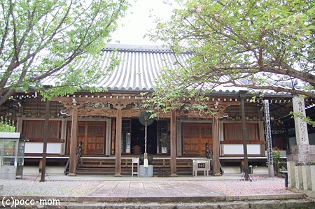 桜本坊2012年05月04日_DSC_2244