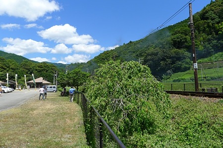 sumatakyo03