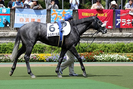 20120429 東京8R 3歳500万下 シュガーヒル1