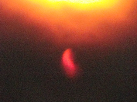 DSC08142