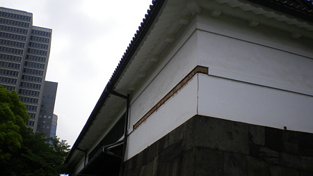IMGP5121