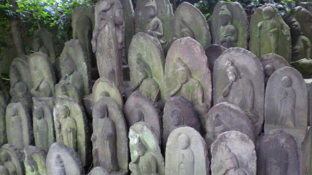 IMGP5379