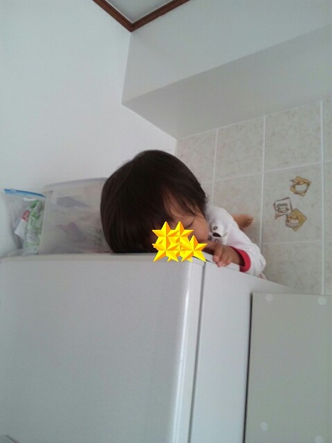 写真 2歳7ヶ月のちびっしゃん。