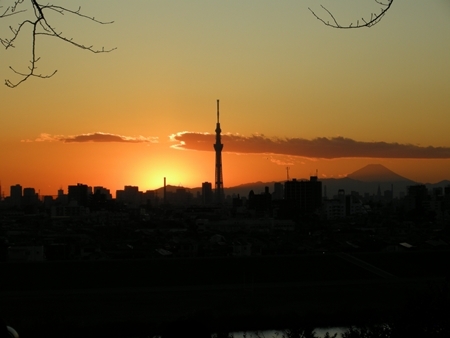 DSCN1319
