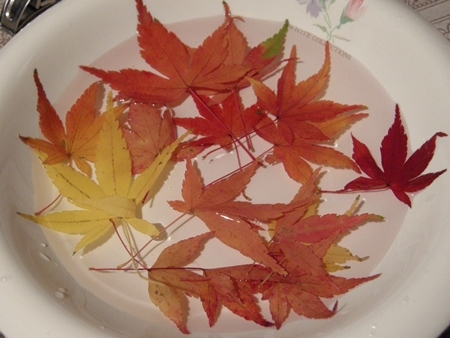 DSCN1340