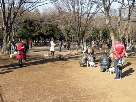 DSCN1870