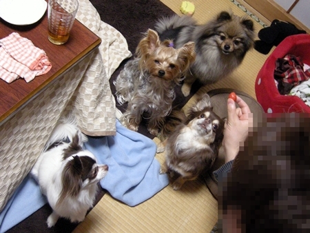 DSCN2059
