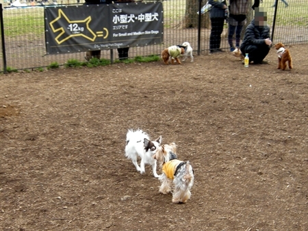 DSCN2144 (2)