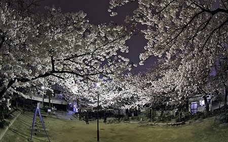 2012041012
