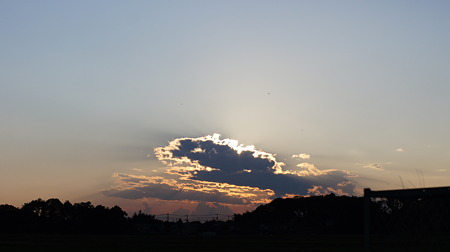 DSC00814
