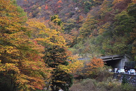 二口林道　宮城側