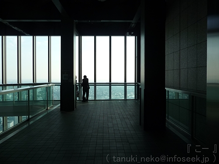 111101-ミッドランド展望台 (7)