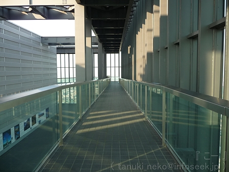 111101-ミッドランド展望台 (19)