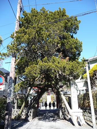 120208-荏柄天神社 (7)