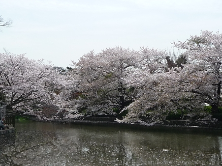 120413-八幡さま (40)