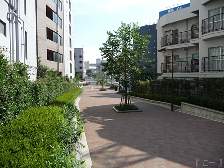 110622-東横廃線 反町→横浜 (71)