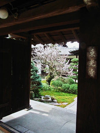 東光寺