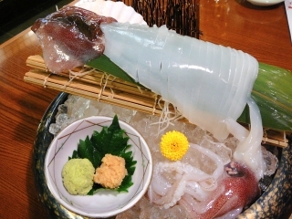 隠岐の白イカ姿造り