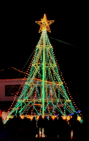 Illumination Tree(2)