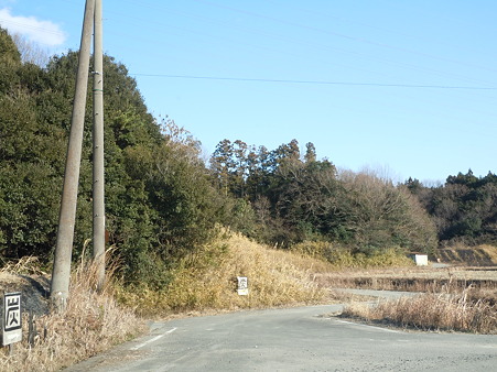DSCN2159