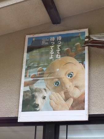 DSCN2494