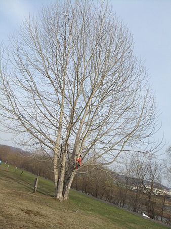apr22 (47)
