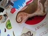 DVC00085