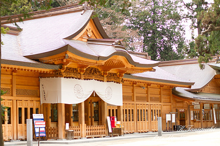 穂高神社 EOS7D EF50 F1.4