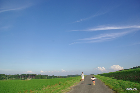 広々