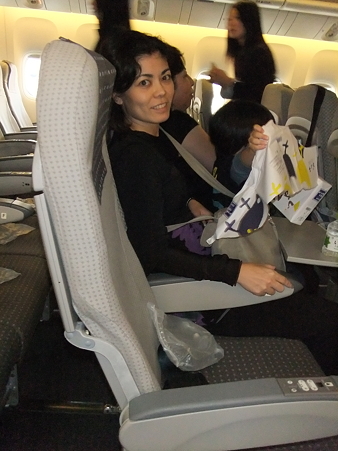 LeionAirplane (1)