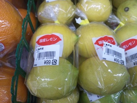 SH3I0009