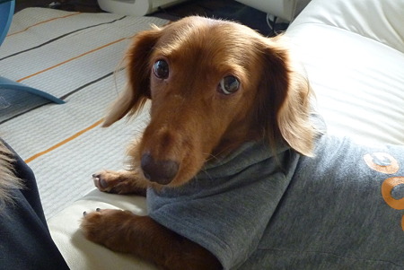 遊びませんか?