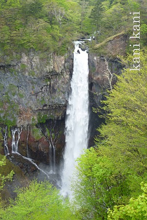 華厳滝