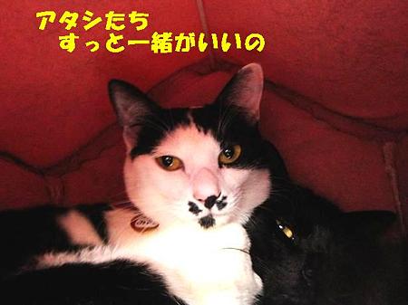 るる&みみ
