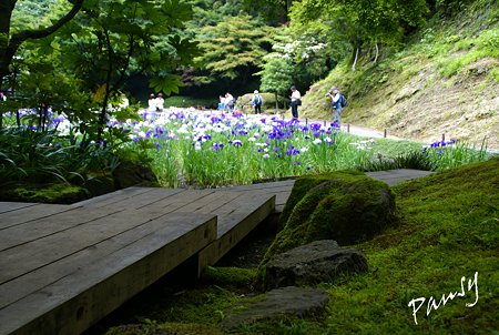 明月院後庭園・・11