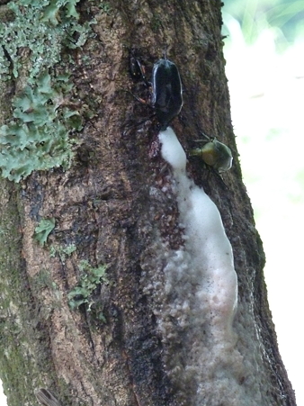 P1100206