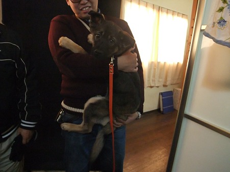 パパさんと健ちゃん