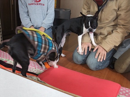 まぁ、まずまずと言った所でしょうか