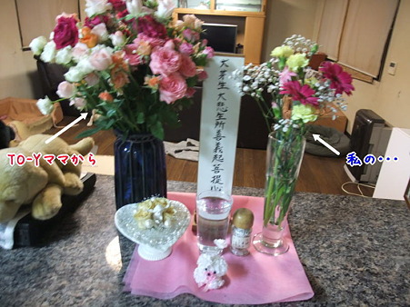 芽生の祭壇