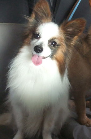 aberu2