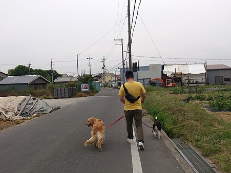 弟さんと散歩