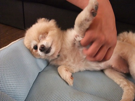 そこ・・・