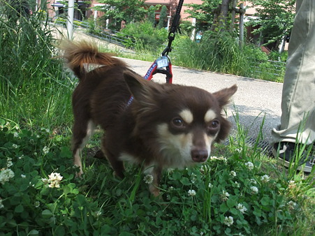 やっぱり~~