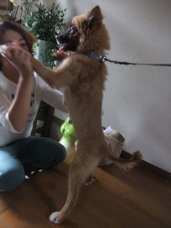 元気でね!