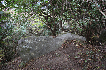 土肥城 - 05
