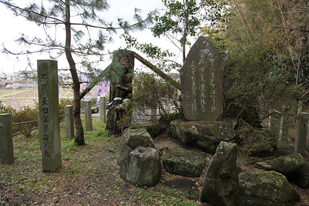 磔の松 - 3